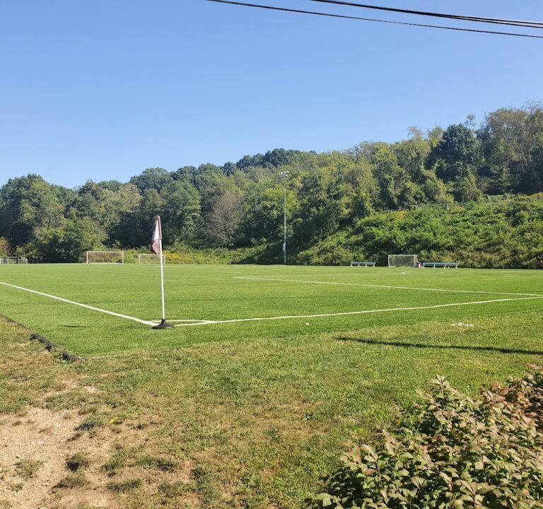 Soccer Field image 2