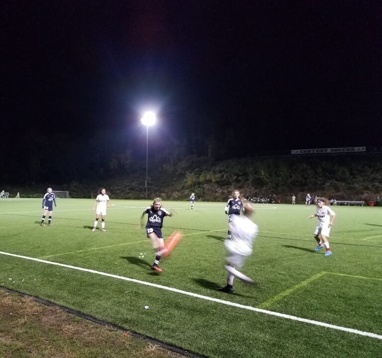 Soccer Field image 3