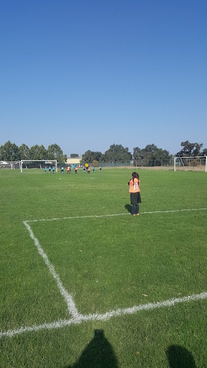 Soccer Field image 1