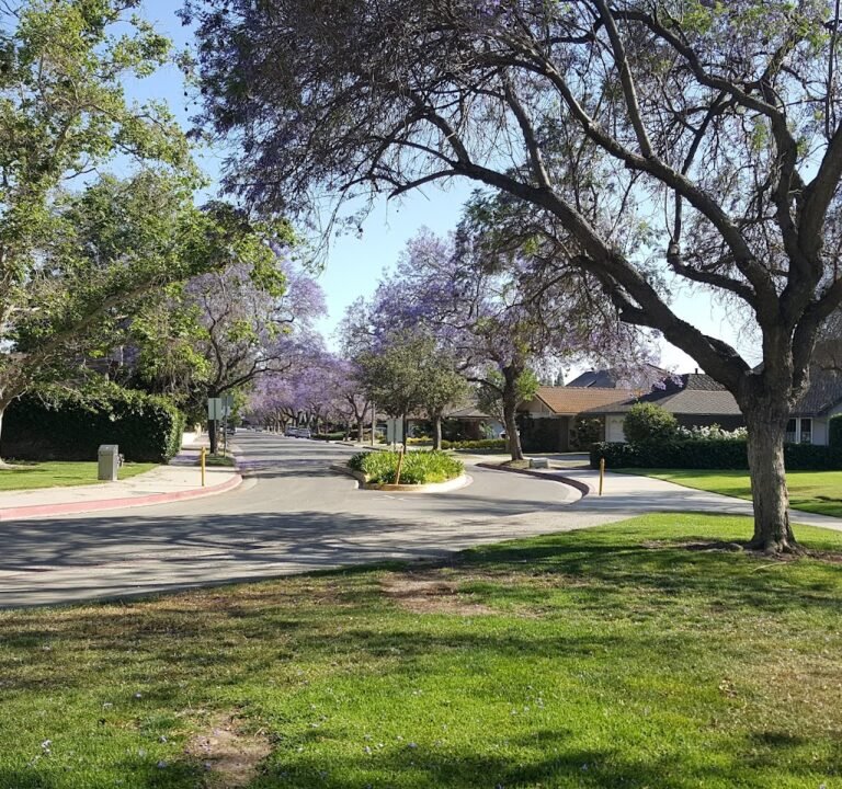 Soccer Field image 2