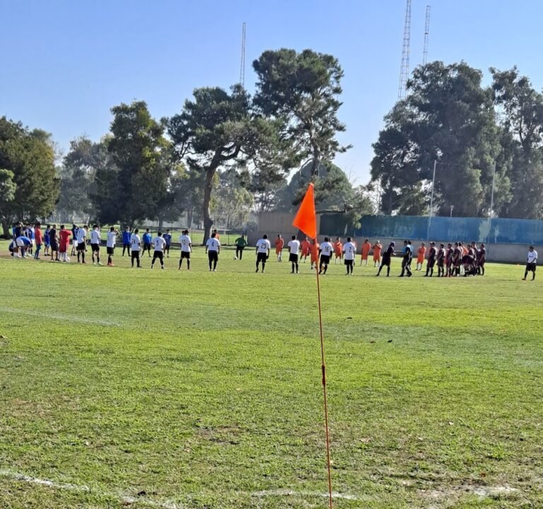 Soccer Field image 2