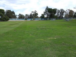 Soccer Field image 1