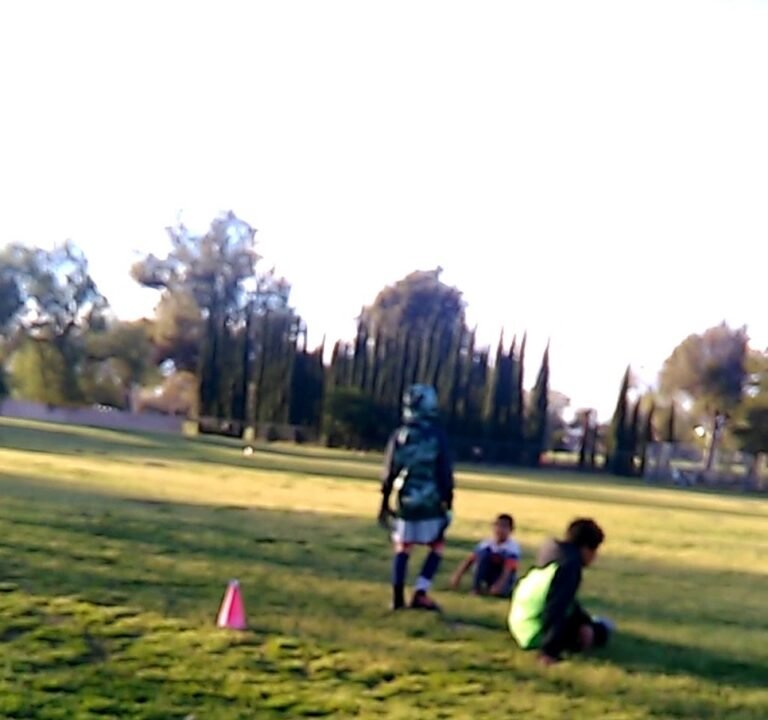 Soccer Field image 3