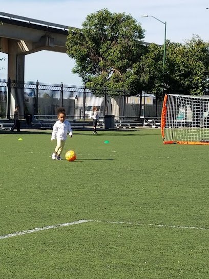 Soccer Field image 1