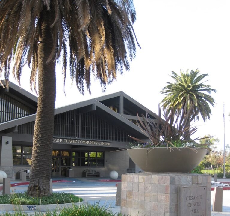 Soccer Field image 2