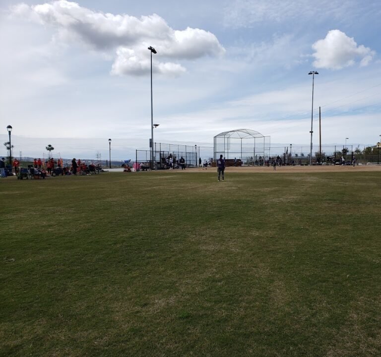 Soccer Field image 2