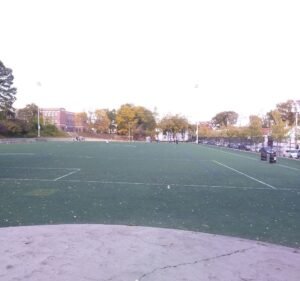 Soccer Field image 2