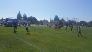 Soccer Field image 1