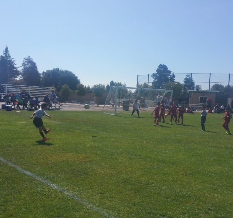 Soccer Field image 3