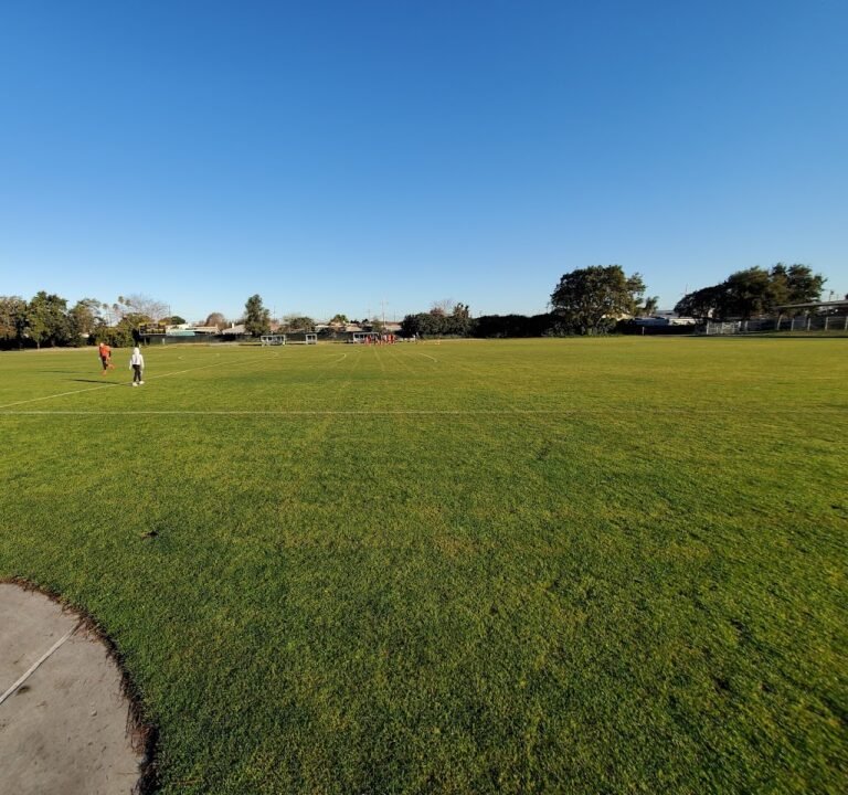 Soccer Field image 2