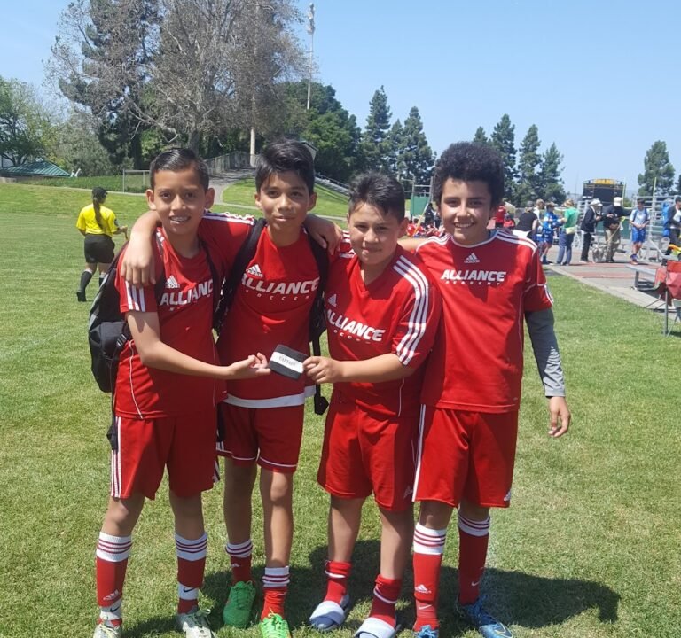 Soccer Field image 4