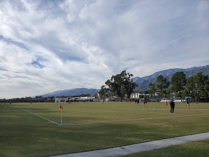 Soccer Field image 1