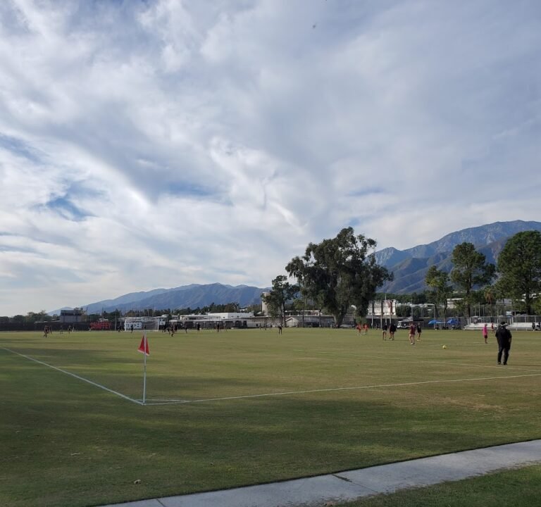 Soccer Field image 2