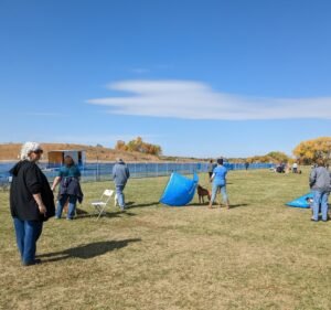 Soccer Field image 2