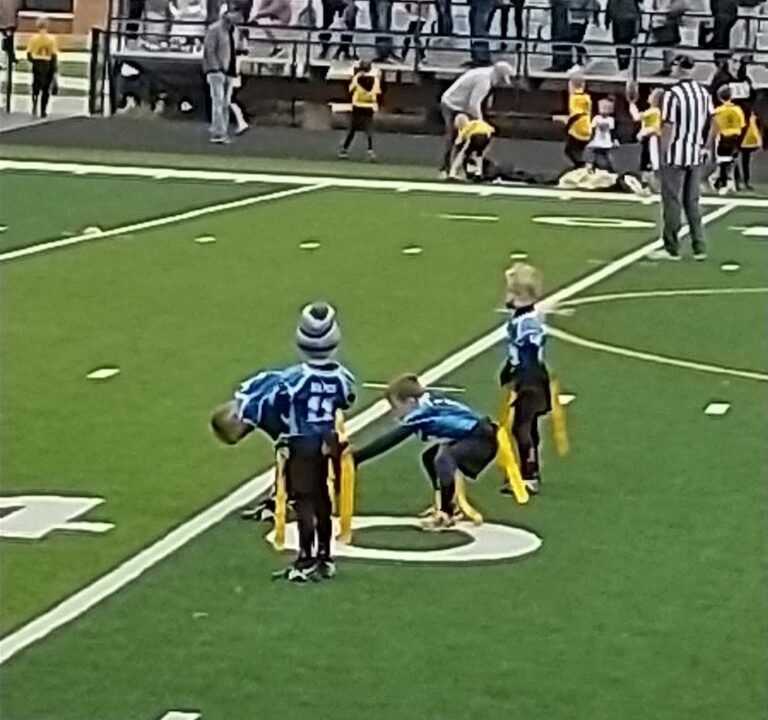 Soccer Field image 2