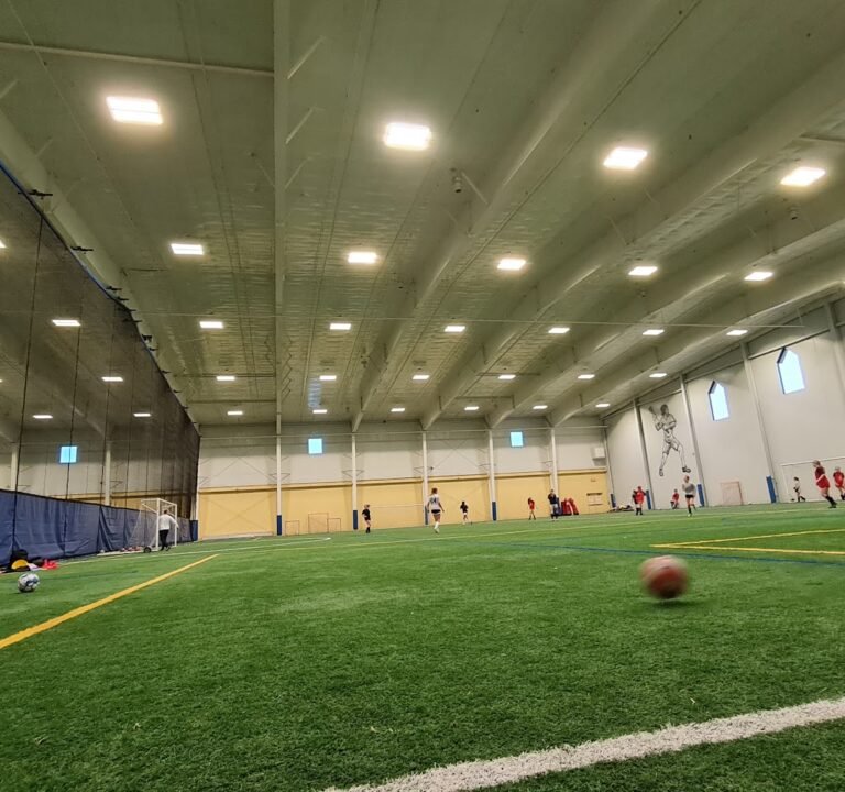 Soccer Field image 2