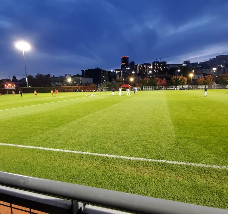 Soccer Field image 3