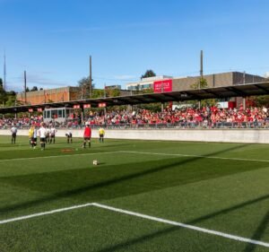 Soccer Field image 2