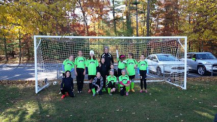 Soccer Field image 1