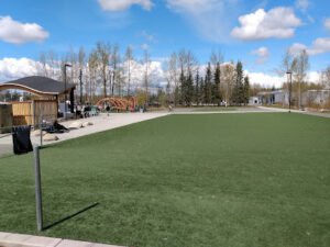 Soccer Field image 1