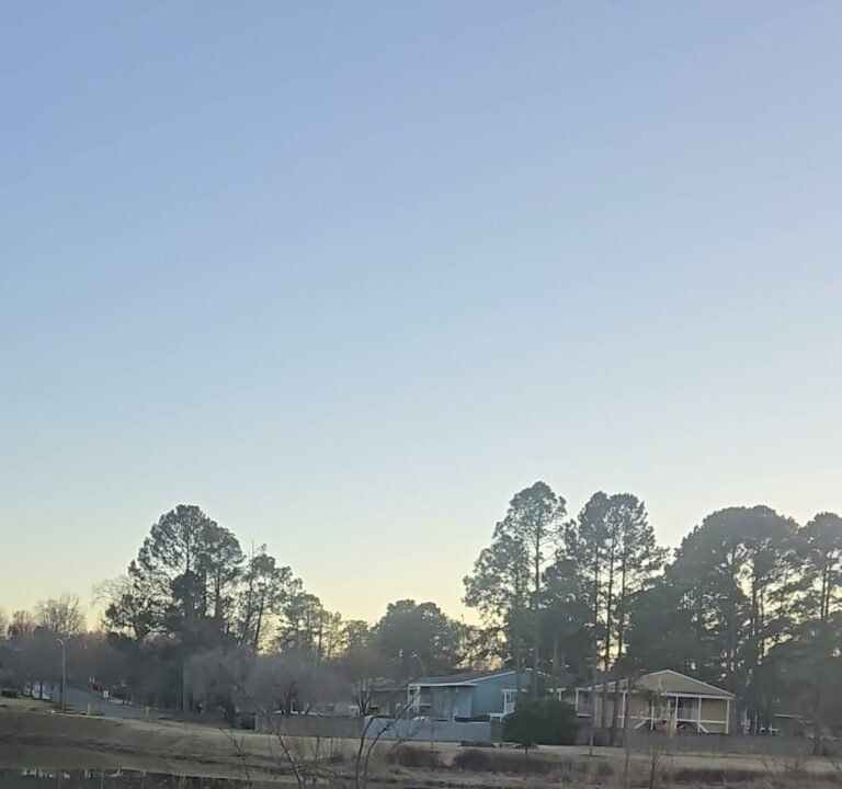 Soccer Field image 3