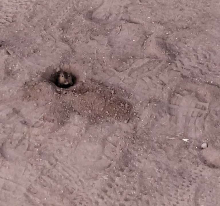 Soccer Field image 4