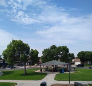 Soccer Field image 2