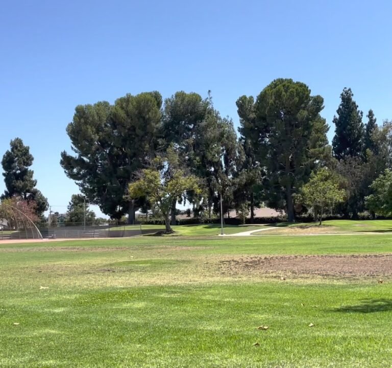 Soccer Field image 2