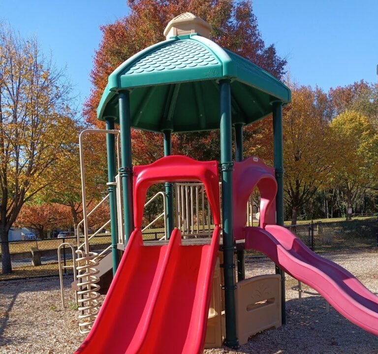 Soccer Field image 2