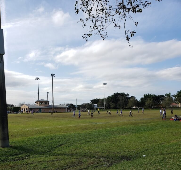 Soccer Field image 2