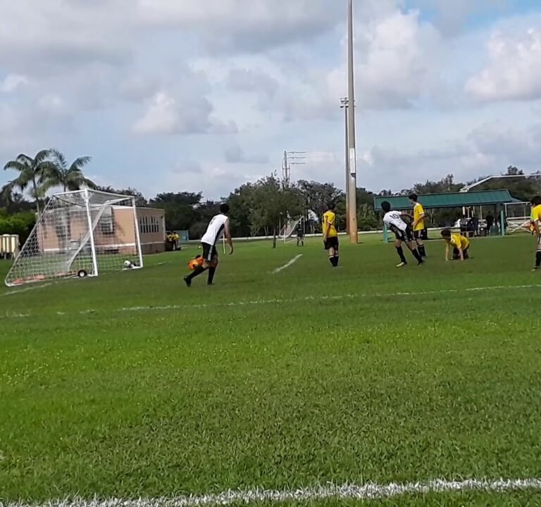 Soccer Field image 4
