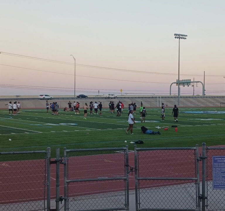 Soccer Field image 2