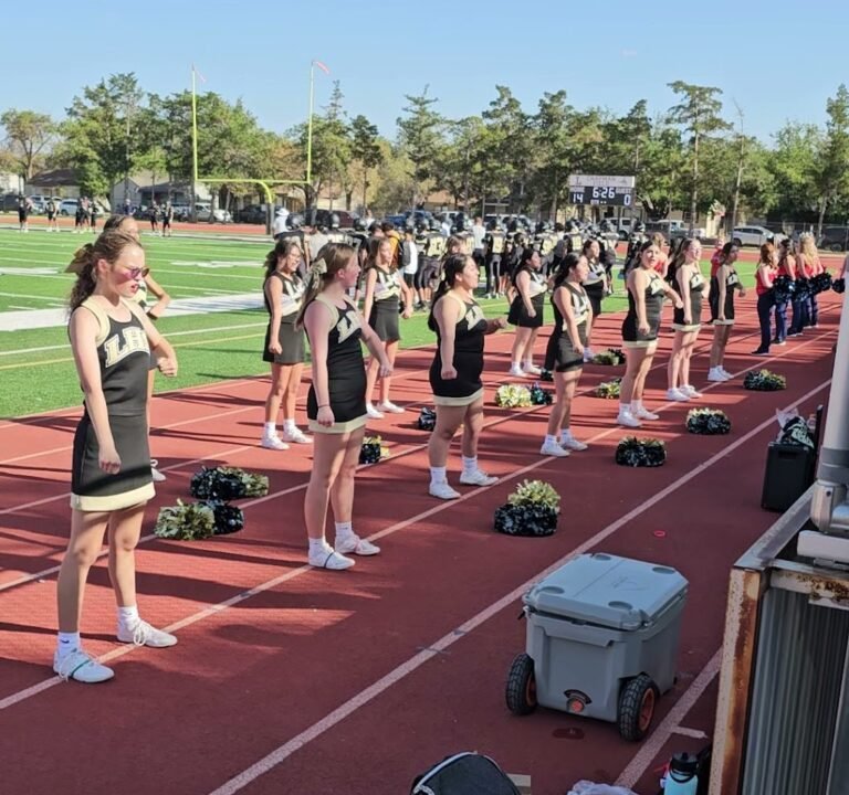 Soccer Field image 4