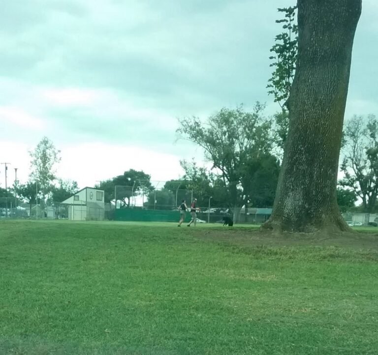 Soccer Field image 4