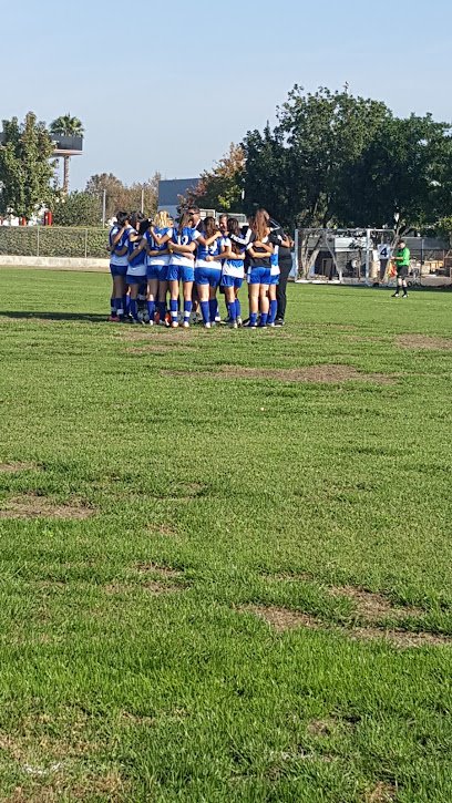 Soccer Field image 1