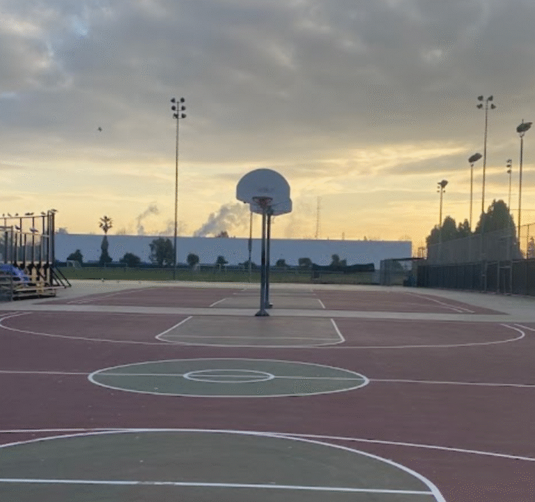 Soccer Field image 2