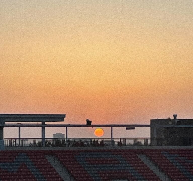 Soccer Field image 3