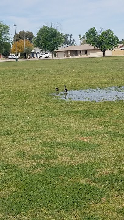 Soccer Field image 1