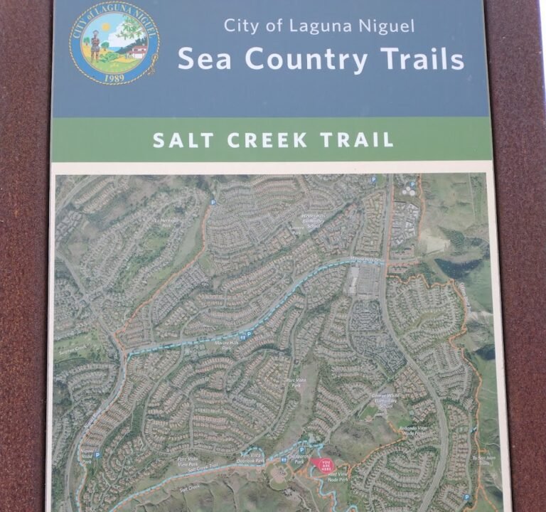 Soccer Field image 3