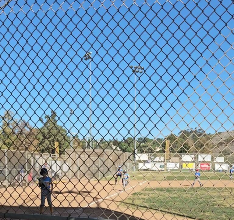Soccer Field image 4