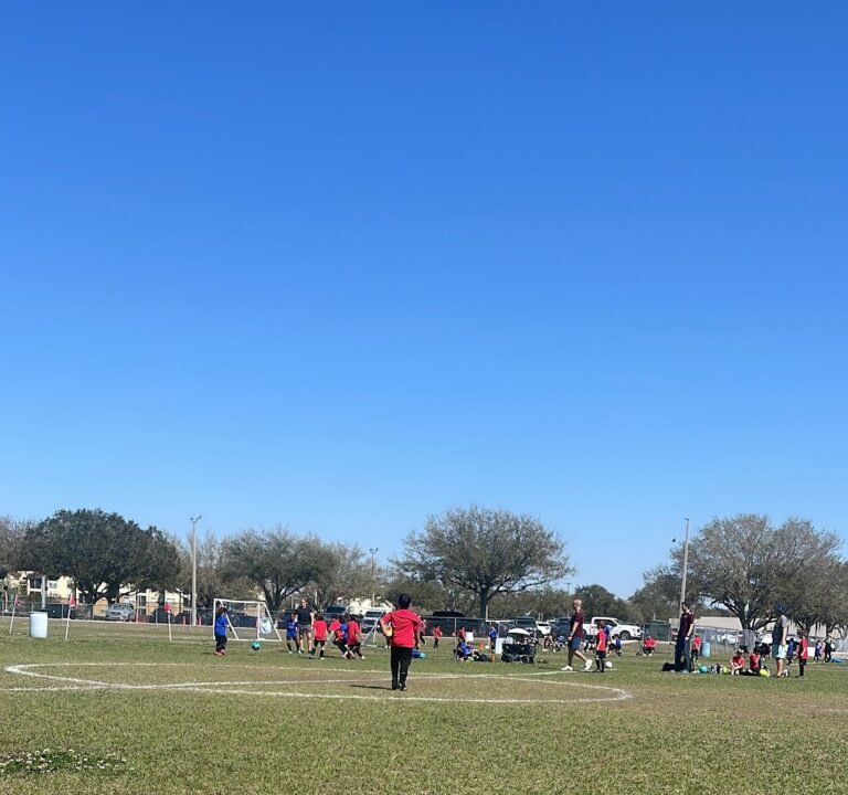 Soccer Field image 2