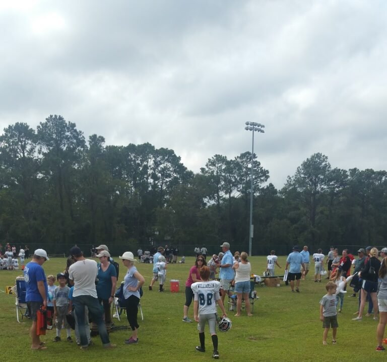 Soccer Field image 2