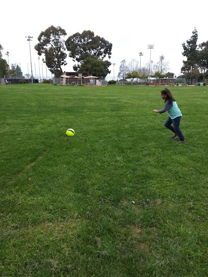 Soccer Field image 1