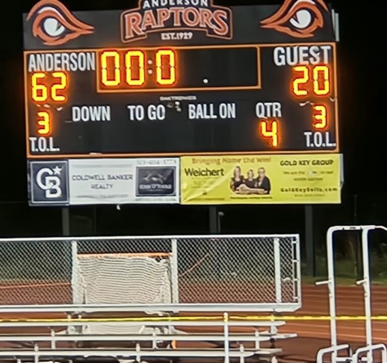 Soccer Field image 3