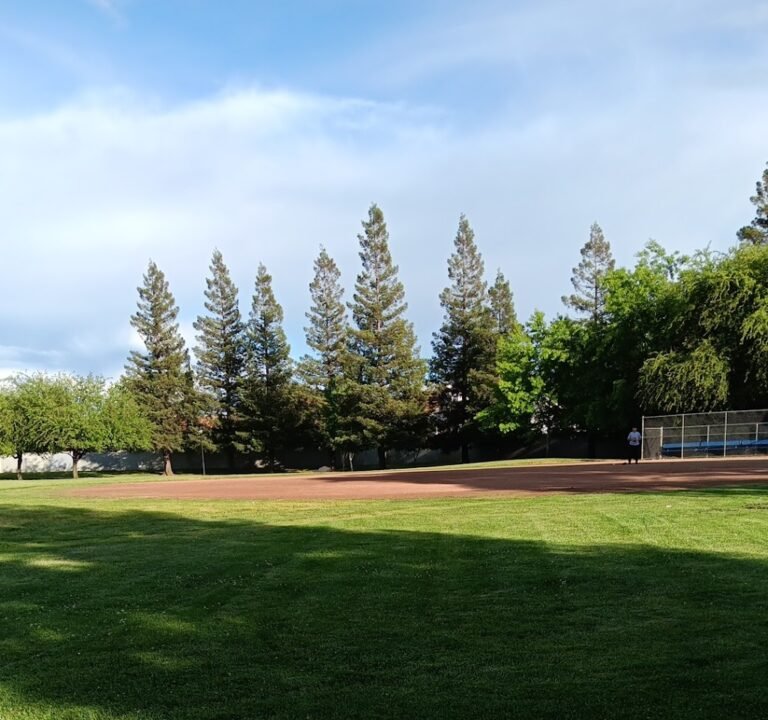 Soccer Field image 2