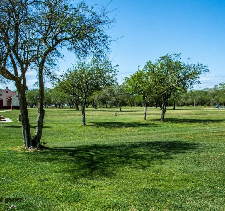 Soccer Field image 2