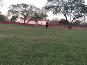 Soccer Field image 1