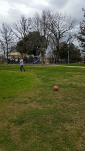 Soccer Field image 1