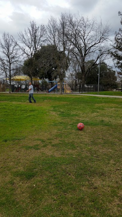 Soccer Field image 1