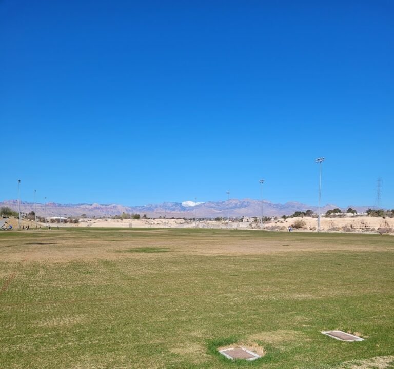 Soccer Field image 3